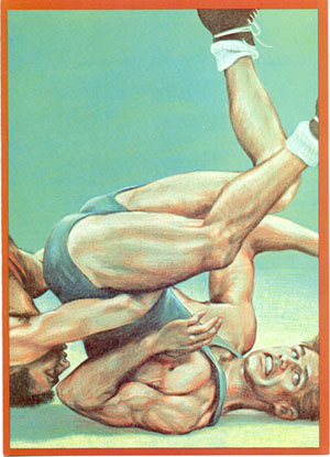 Frottage Wrestling